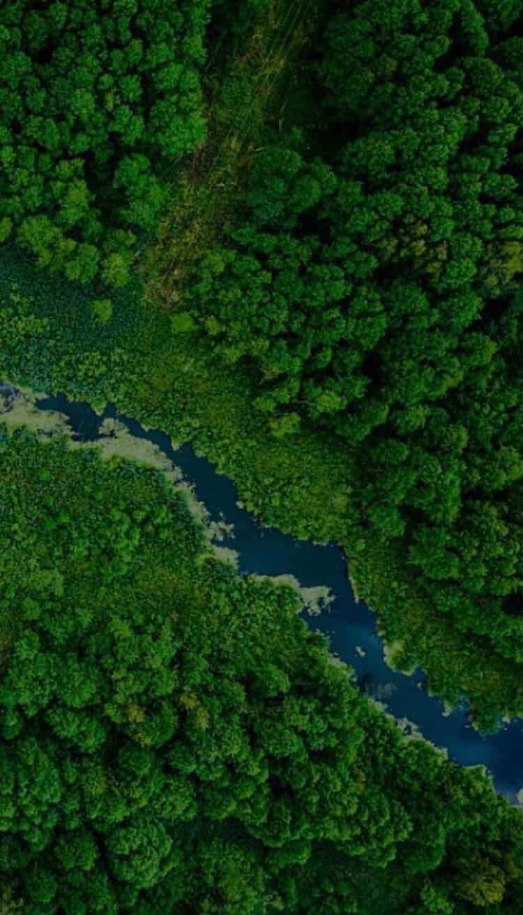 Rozwiązania zmniejszające wpływ na planetę