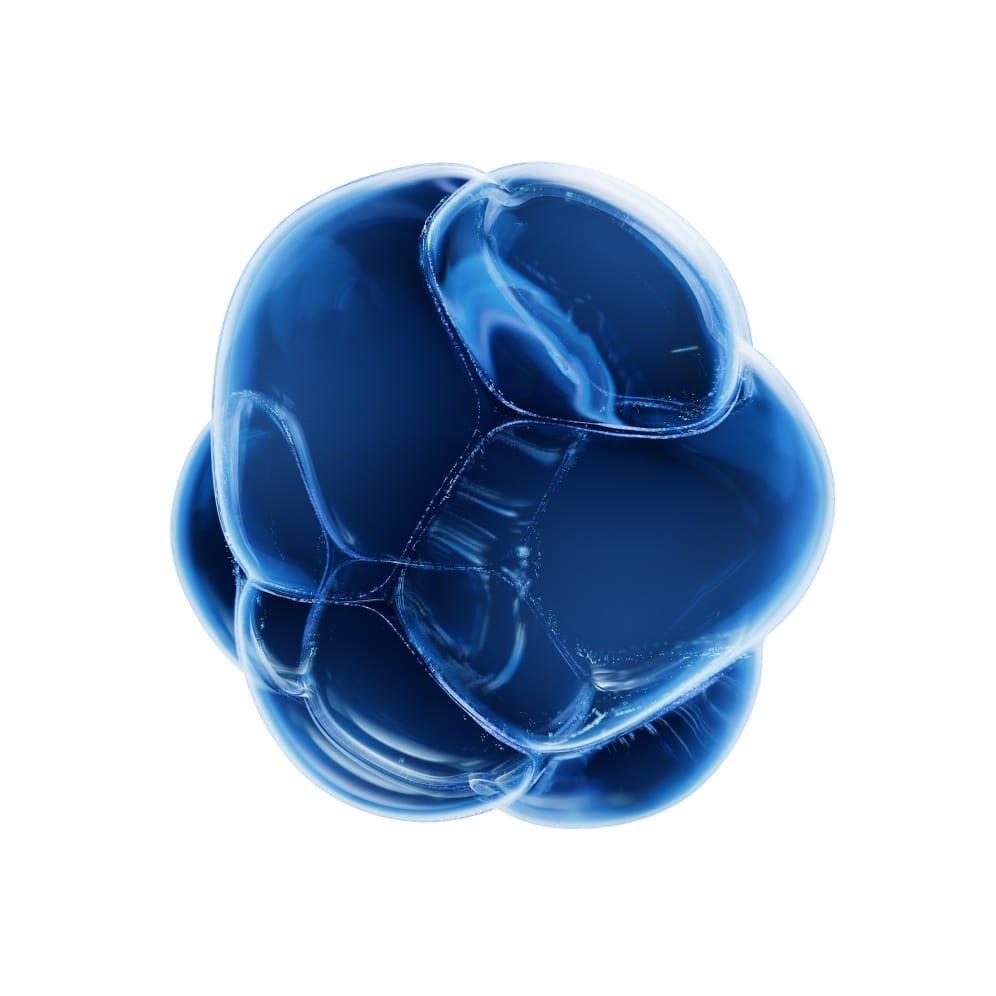 Hyaluronic acid ingredient