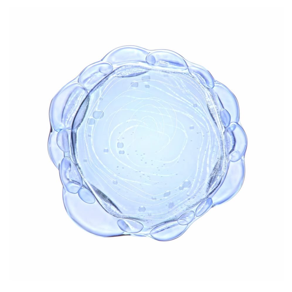 Pure niacinamide ingredient