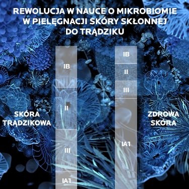 Phyliobioma - baner mobile